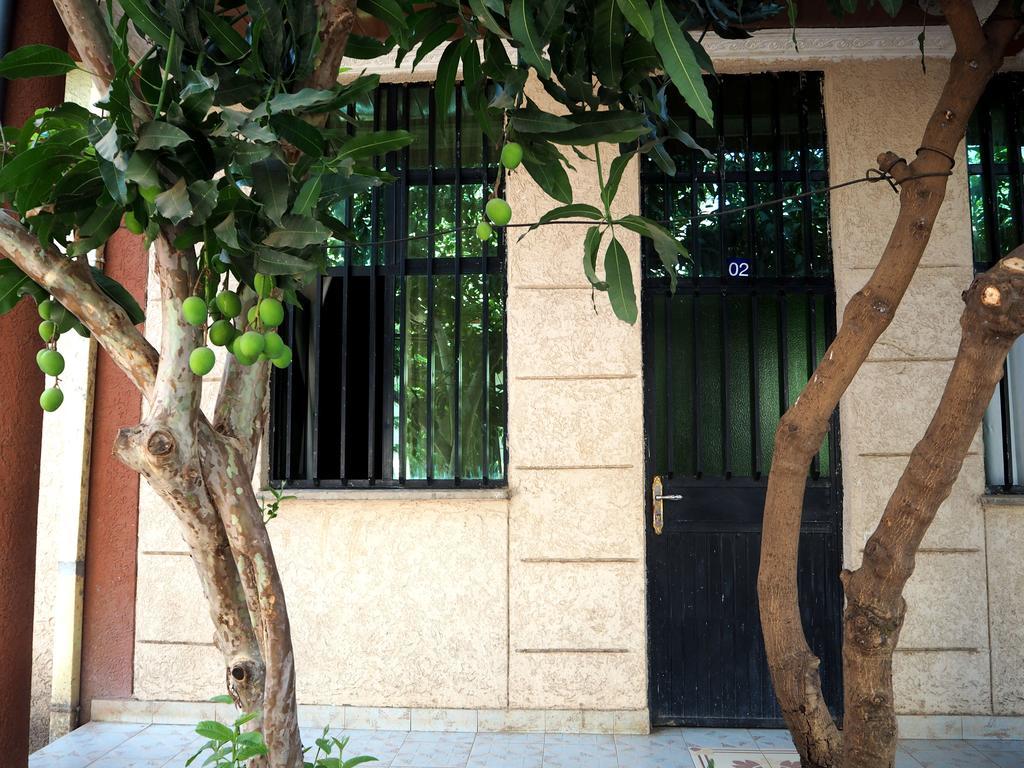 Manuhie Backpackers Lodge Bahir Dar Kamer foto