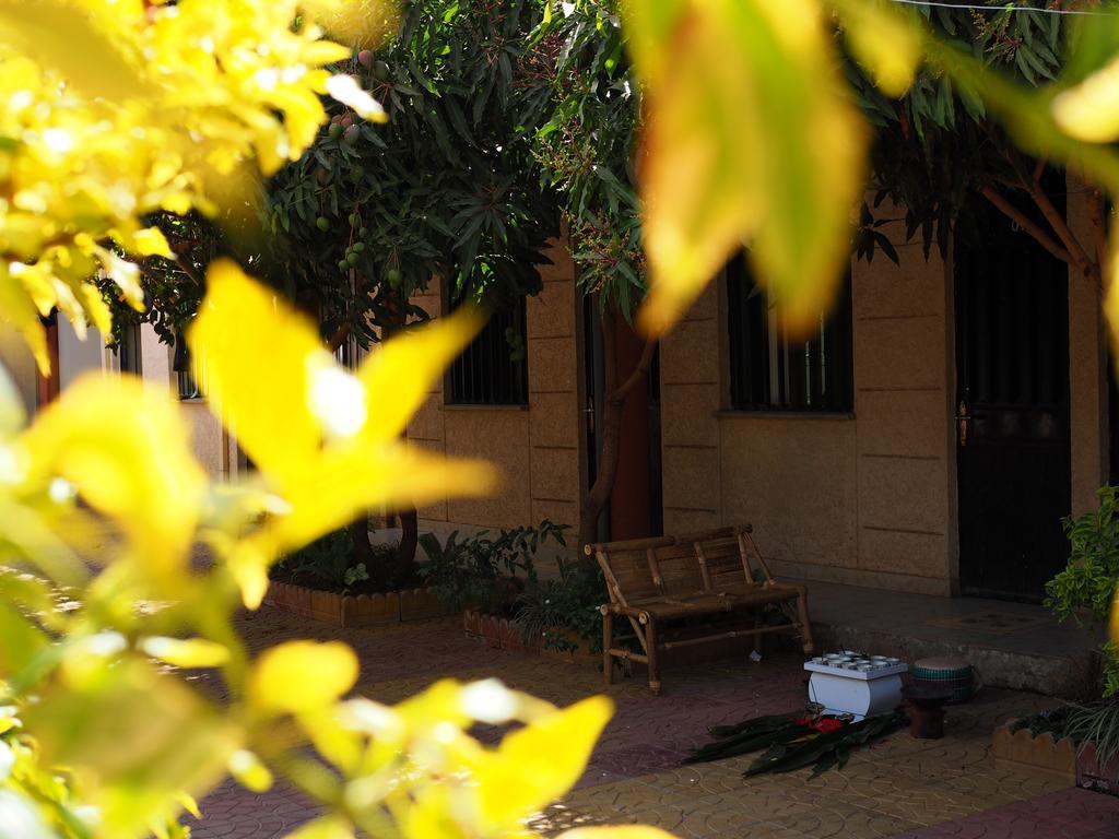 Manuhie Backpackers Lodge Bahir Dar Kamer foto